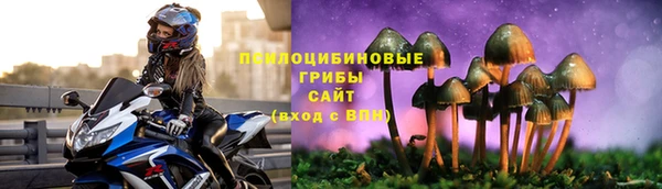 спиды Покровск