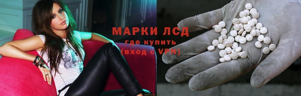 спиды Покровск