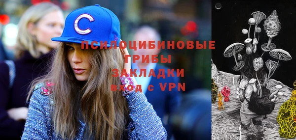 амф Покачи