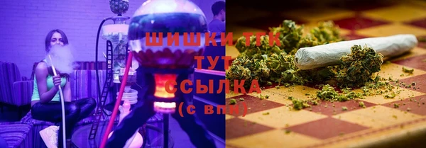 амф Покачи