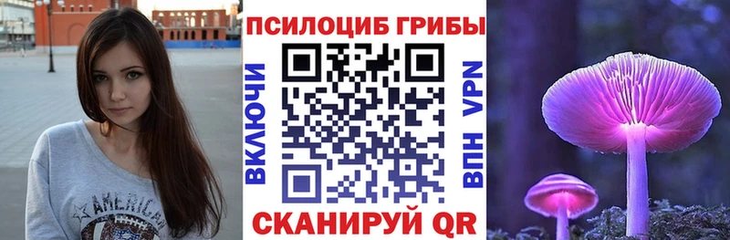 Псилоцибиновые грибы мухоморы  продажа наркотиков  Богородицк 