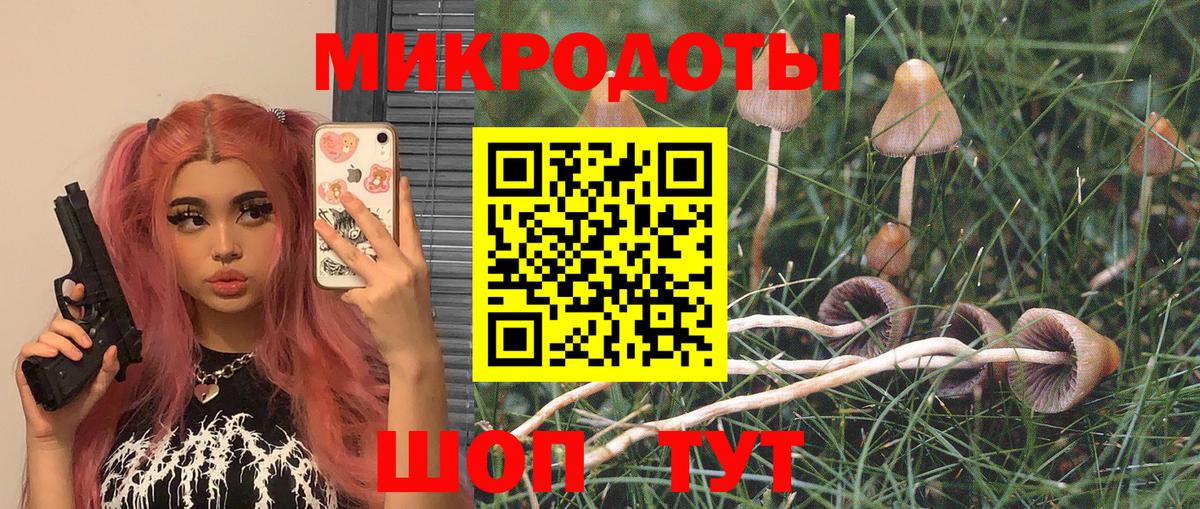 Богородицк  Галлюциногенные грибы Magic Shrooms  Вход с VPN  Псилоцибиновые грибы Cubensis 