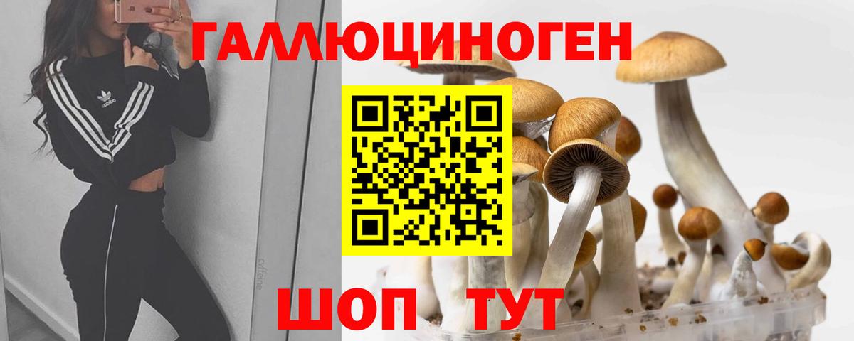Галлюциногенные грибы Cubensis Богородицк